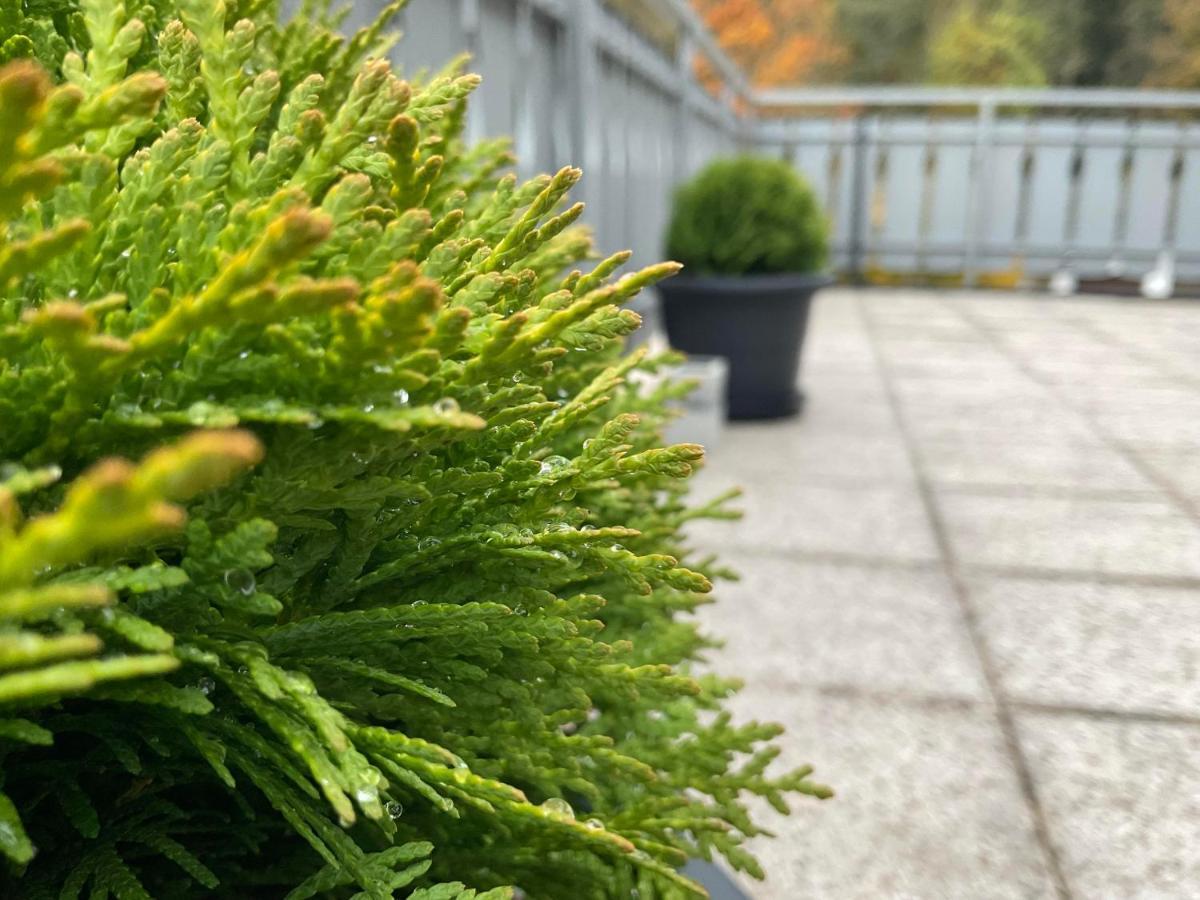 Ferienwohnung Schwarzwald Tannenzaepfle بيرسبرون المظهر الخارجي الصورة
