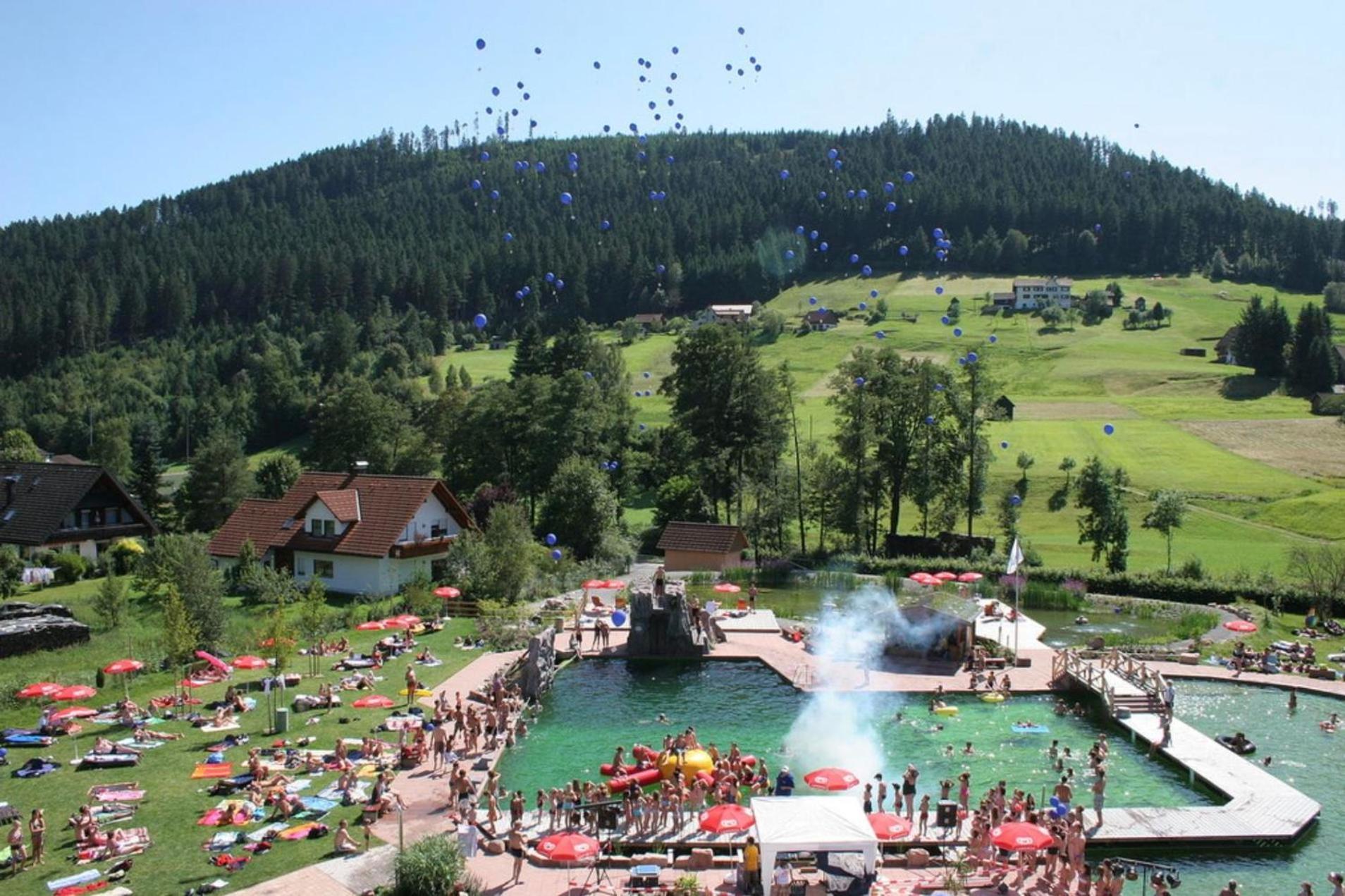 Ferienwohnung Schwarzwald Tannenzaepfle بيرسبرون المظهر الخارجي الصورة
