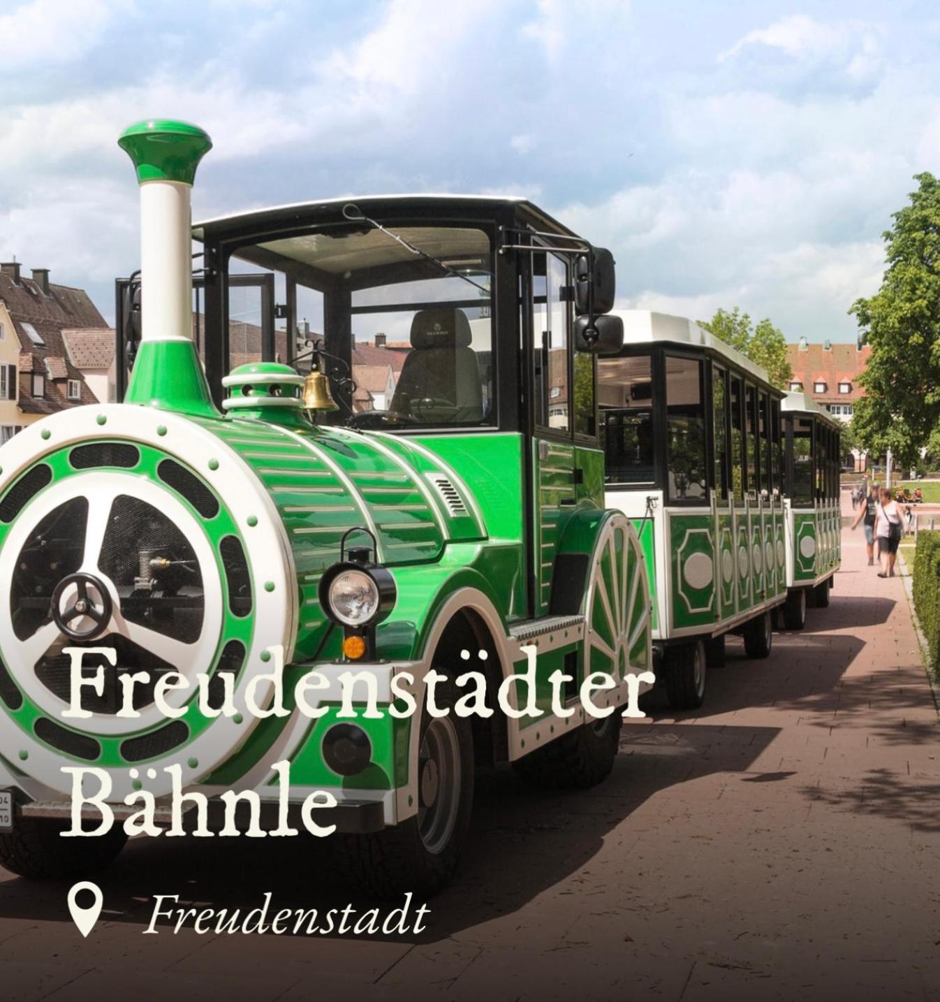 Ferienwohnung Schwarzwald Tannenzaepfle بيرسبرون المظهر الخارجي الصورة