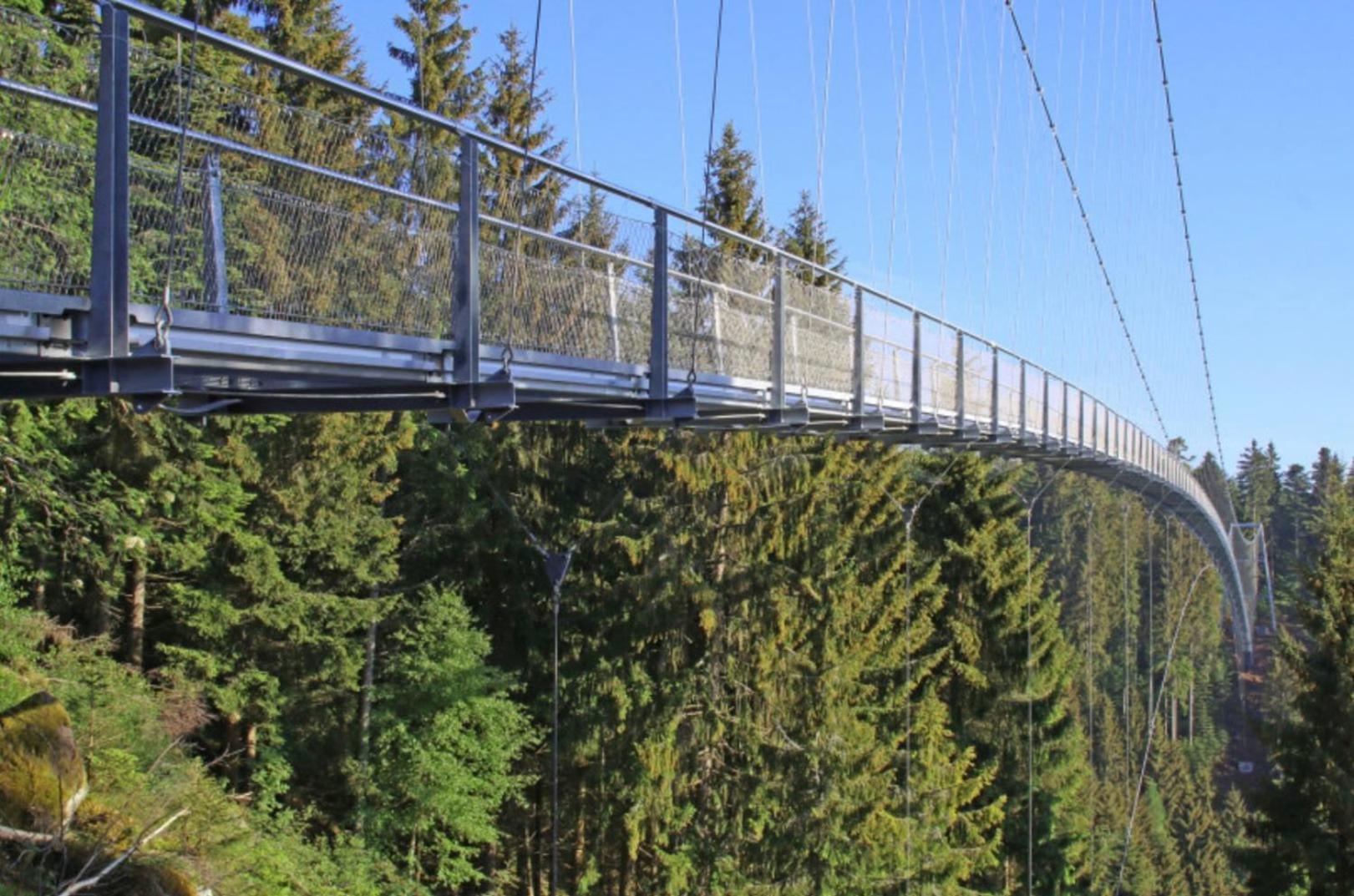 Ferienwohnung Schwarzwald Tannenzaepfle بيرسبرون المظهر الخارجي الصورة