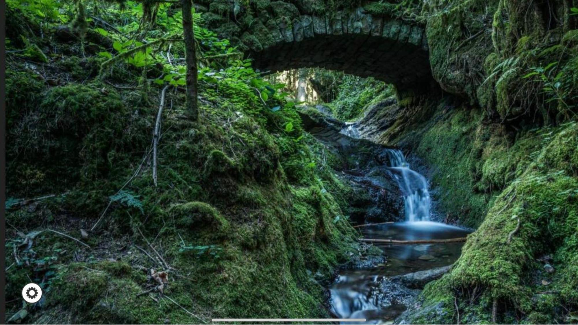Ferienwohnung Schwarzwald Tannenzaepfle بيرسبرون المظهر الخارجي الصورة